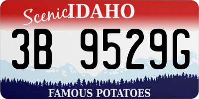 ID license plate 3B9529G