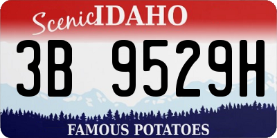 ID license plate 3B9529H
