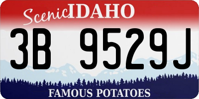 ID license plate 3B9529J