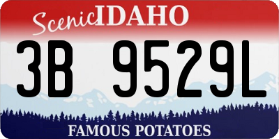 ID license plate 3B9529L