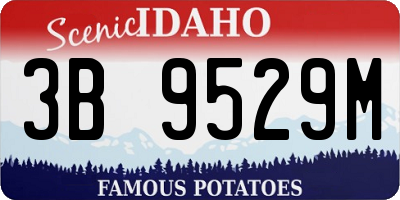ID license plate 3B9529M