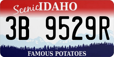 ID license plate 3B9529R