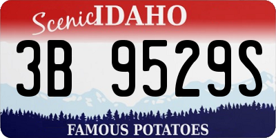 ID license plate 3B9529S