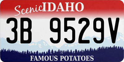 ID license plate 3B9529V