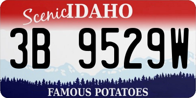 ID license plate 3B9529W