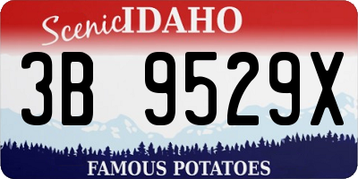 ID license plate 3B9529X