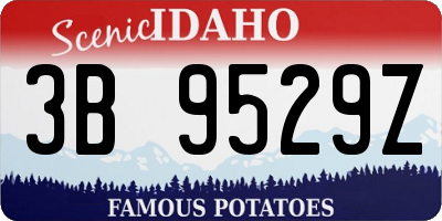 ID license plate 3B9529Z