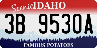 ID license plate 3B9530A
