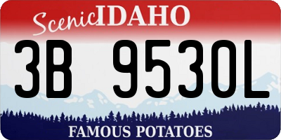 ID license plate 3B9530L