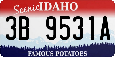 ID license plate 3B9531A