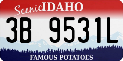 ID license plate 3B9531L
