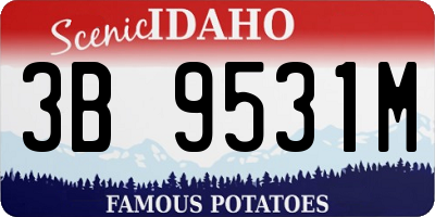 ID license plate 3B9531M