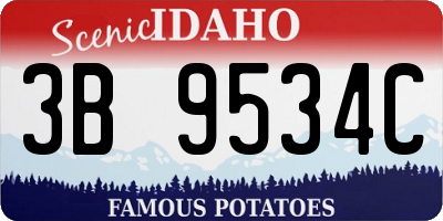 ID license plate 3B9534C