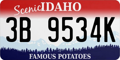ID license plate 3B9534K