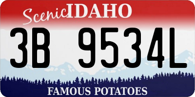 ID license plate 3B9534L
