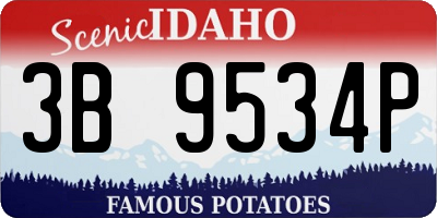 ID license plate 3B9534P