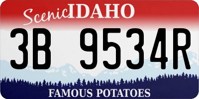 ID license plate 3B9534R