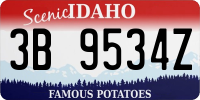 ID license plate 3B9534Z