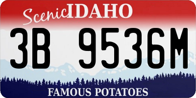 ID license plate 3B9536M