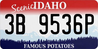 ID license plate 3B9536P