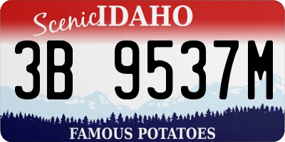 ID license plate 3B9537M