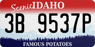 ID license plate 3B9537P
