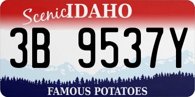 ID license plate 3B9537Y