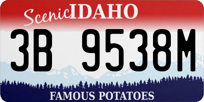 ID license plate 3B9538M