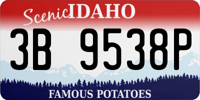 ID license plate 3B9538P