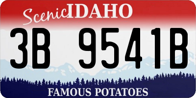 ID license plate 3B9541B