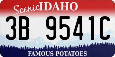 ID license plate 3B9541C