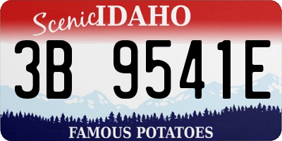 ID license plate 3B9541E