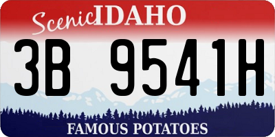 ID license plate 3B9541H