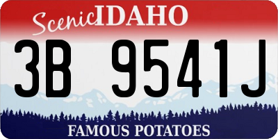 ID license plate 3B9541J
