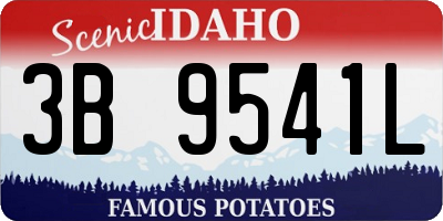 ID license plate 3B9541L