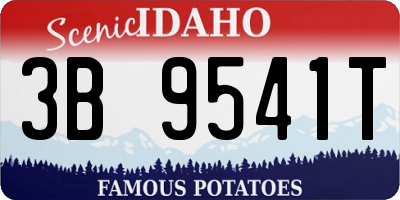 ID license plate 3B9541T