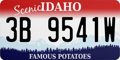 ID license plate 3B9541W