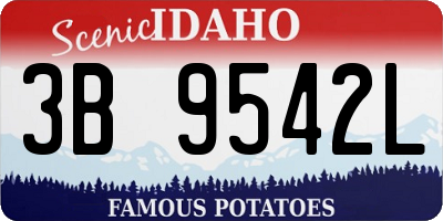 ID license plate 3B9542L