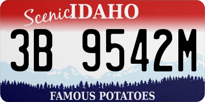 ID license plate 3B9542M