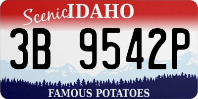 ID license plate 3B9542P