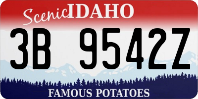 ID license plate 3B9542Z