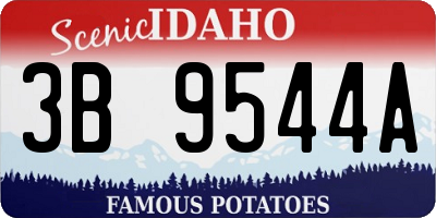 ID license plate 3B9544A