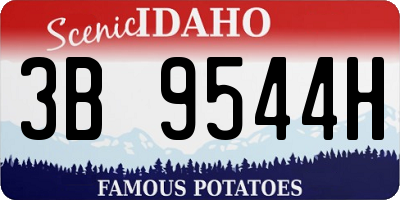 ID license plate 3B9544H