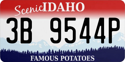 ID license plate 3B9544P