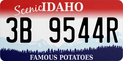 ID license plate 3B9544R