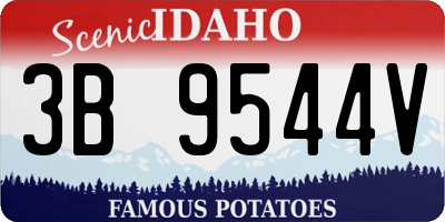 ID license plate 3B9544V