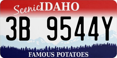 ID license plate 3B9544Y