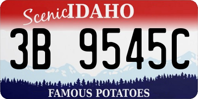 ID license plate 3B9545C