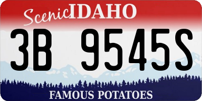 ID license plate 3B9545S