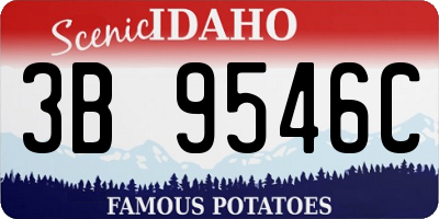 ID license plate 3B9546C